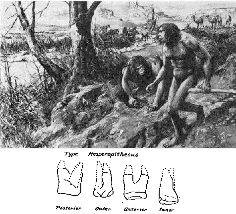 Evolution - procs de Scopes ou du singe - homme du Nebraska