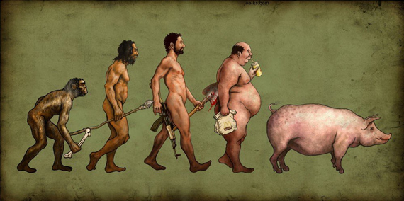 Evolution des espces - Darwin